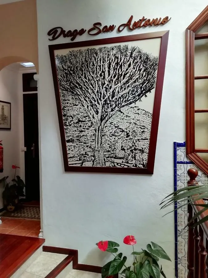 Hotel Drago San Antonio Icod De Los Vinos